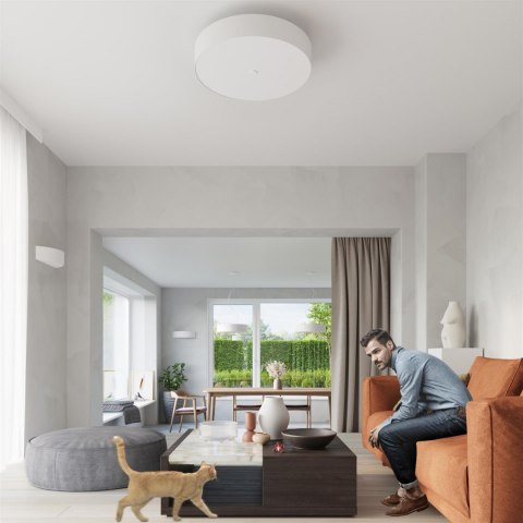 Sollux Lampa Żyrandol SKALA 30 biały