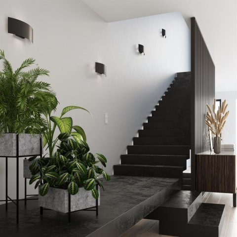 Sollux Lampa Kinkiet MAGNUS czarny