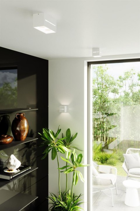 Sollux Lampa Plafon LOBO biały