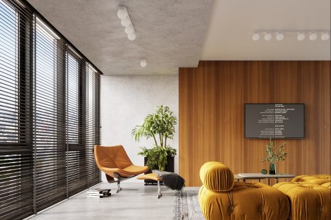 Sollux Lampa Plafon YOLI 2 biały