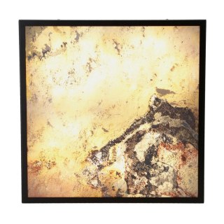 Luxan Lampa sufitowa 39x39 czarny 48w led 4000k led indian autumn