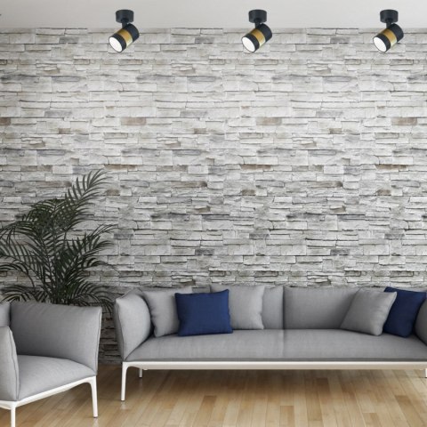 Spot Anillo 1 czarny 1xGU10 Light Prestige