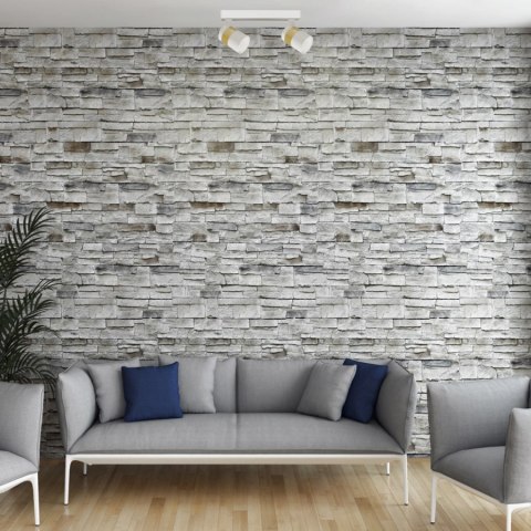 Spot Anillo 2 biały 2xGU10 Light Prestige