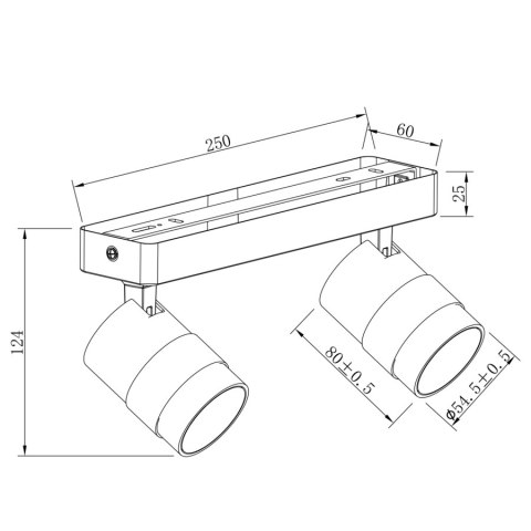 Spot Anillo 2 biały 2xGU10 Light Prestige