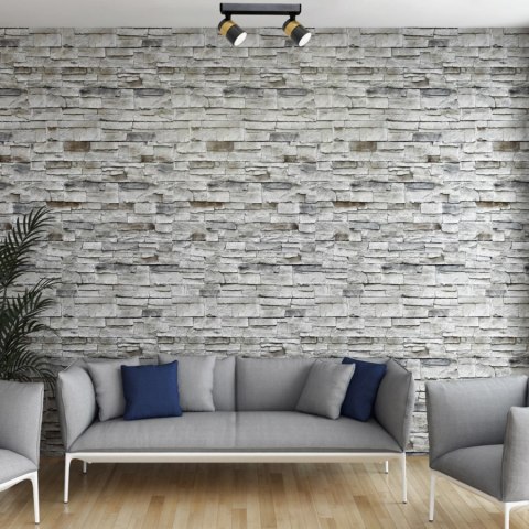 Spot Anillo 2 czarny 2xGU10 Light Prestige