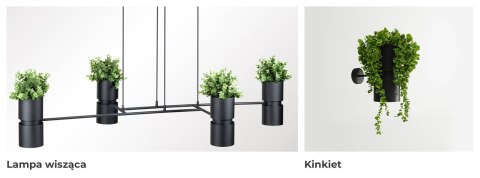 Sollux Lampa Kinkiet KUKKIA czarna