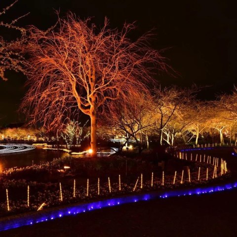 Projektor LED V-TAC 20W SMD E-Series Czarny VT-4021-R Kolor Czerwony