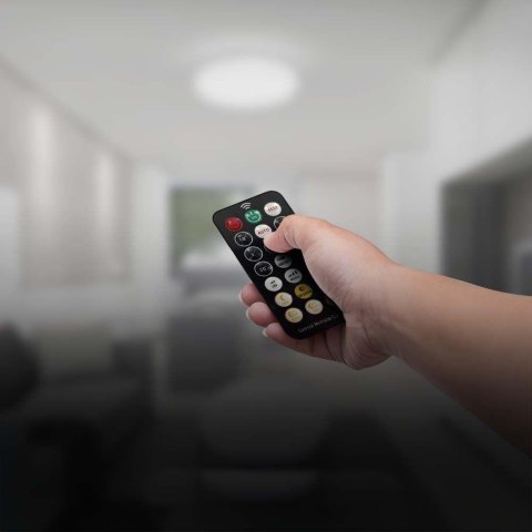 24W LED DOME LIGHT -SENSOR WITH SAMSUNGCHIP 4000K RD,BLACK FRAME IP44