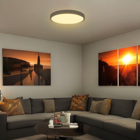 24W LED DOME LIGHT WITH SAMSUNGCHIP 4000K RD,BLACK FRAME IP44