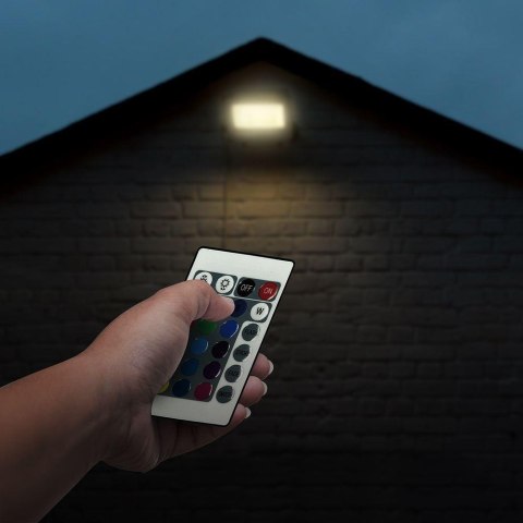 30W FLOODLIGHT RGB + WHITE BLACK BODY GREY FROSTED GLASS WITH CONTROLLER IP65