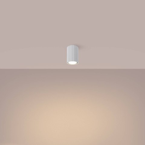 PLAFON LAMPA SUFITOWA REFLEKTOR TUBA SPOT KARBON 10 biały