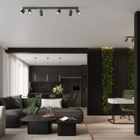 PLAFON LAMPA SUFITOWA REFLEKTOR SOLLUX  KARBON 6L zielony oliwkowy