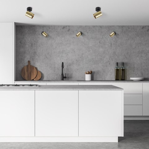 Spot Snow New 1 złoty 1xGU10 Light Prestige