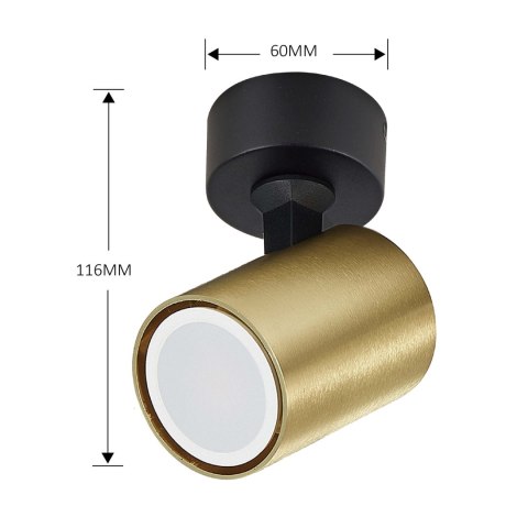 Spot Snow New 1 złoty 1xGU10 Light Prestige