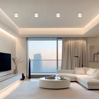 Oprawa natynkowa Kendal L biała GX53 Light Prestige