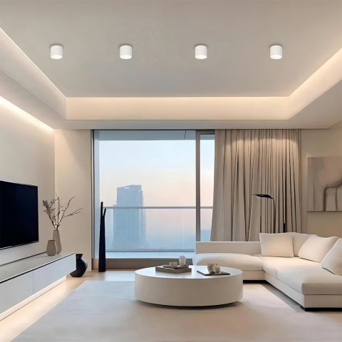 Oprawa natynkowa Kendal L biała GX53 Light Prestige