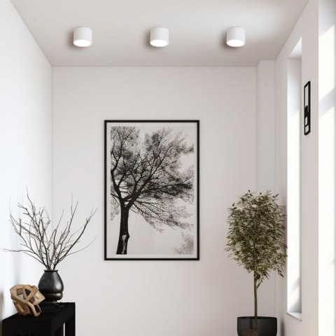 Oprawa natynkowa Kendal biała IP65 GX53 Light Prestige