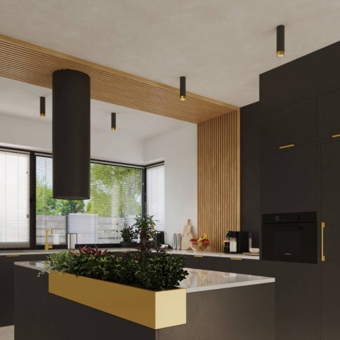 Plafon NERO 12,5 czarny/złoty