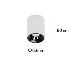 Oprawa natynkowa Tom biała LED CCT Light Prestige