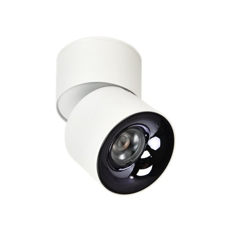 Ruchoma oprawa natynkowa Brema biała LED CCT Light Prestige