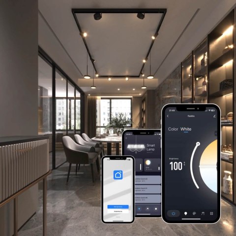 Lampa Wisząca Omikron Smart 6W Magnet Line LED czarny TLV-08-11TU