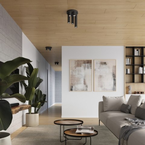 LAMPA SUFITOWA TUBA SPOT Plafon LAGOS 3P czarny