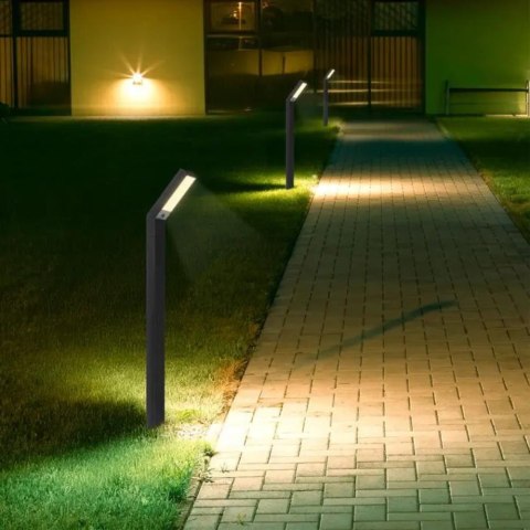 1.5W LED STAND & SPIKE SOLAR LED LIGHT 2 IN 1 CCT ADJUSTABLE BLACK BODY IP65