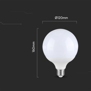 22W G120 plastic bulb 6500K E27