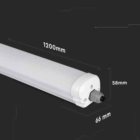 36W LED WP G-series tube 120CM with CREE CHIP 4000K