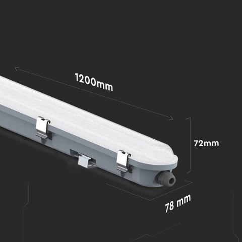 36W LED WP lamp fitting 120CM-EM KIT-milky cover+SS clips 6500K