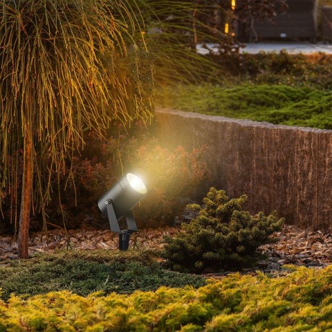 VT-80070 10W LED spike light aluminum COLORCODE:4000K black body IP65