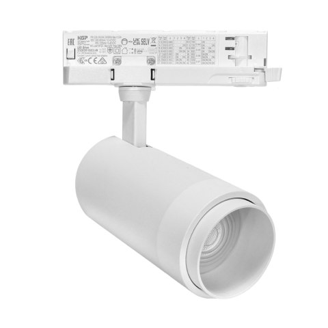 Reflektor Szynowy DD-04 10W-30W 4000K Biały