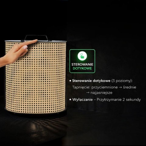 1.2W LED Solar Lamp With Lithium Battery (36*22.5*43cm) 2800K-3200K