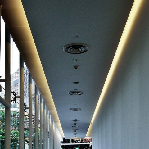 9W/M LED NEON STRIP LIGHT 4000K IP65 24V (10M/ROLL)(PRICE/M)