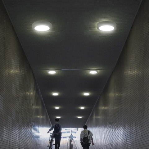 Plafoniera LED Rotonda Chip CREE 6W Montaggio a Plafone Bianca CCT