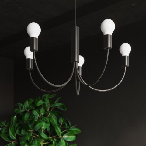 Sollux Lighting Żyrandol PICCOLO 3 czarny