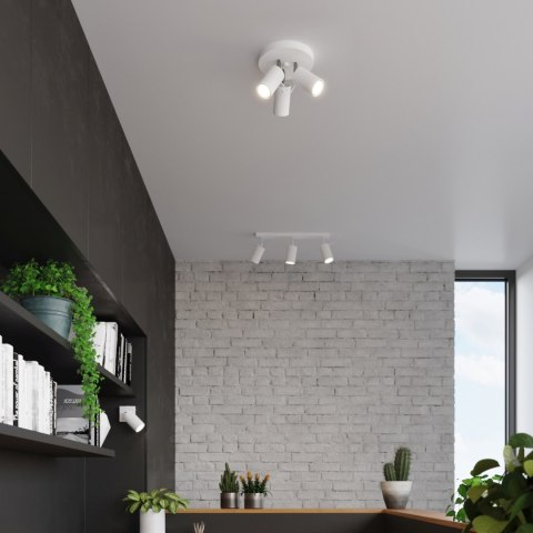 Sollux Lighting Plafon RING 3P biały