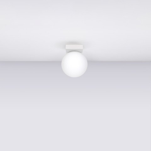 Sollux Lighting Plafon YOLI 1 biały