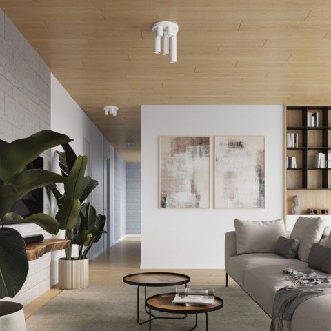 Sollux Lighting Plafon LAGOS 5P biały