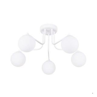 Sollux Lighting Żyrandol ASTRAL 5 biały