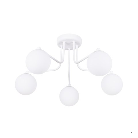Sollux Lighting Żyrandol ASTRAL 5 biały