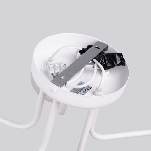 Sollux Lighting Żyrandol ASTRAL 5 biały