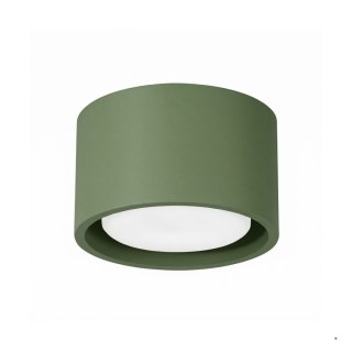 Sollux Lighting Plafon MODO 1 zielona oliwka Gx53