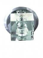 Neptun oczko transparentne LP-10221/H24L